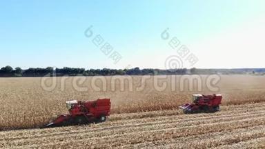 高空俯视图.. <strong>大红</strong>色联合收割机在初秋收获玉米田。 过滤新鲜的拖拉机